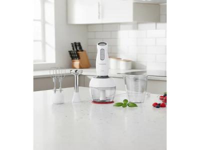 Homend Handmaid 1904h Blender Set - Kullanıcı yorumları